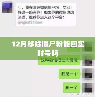 僵尸粉移除與實(shí)時(shí)號(hào)恢復(fù)，12月操作指南