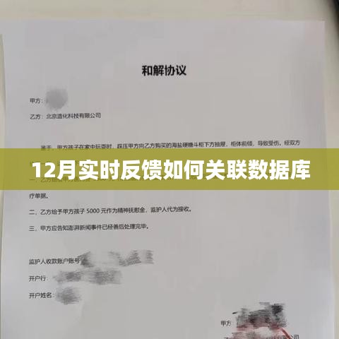 實(shí)時(shí)反饋與數(shù)據(jù)庫(kù)關(guān)聯(lián)之道，12月操作指南