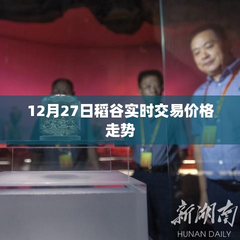 稻谷實時交易價格走勢分析（最新動態(tài)）