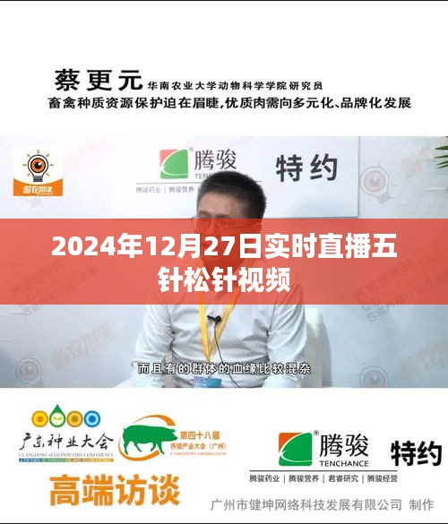 五針?biāo)舍樦辈ヒ曨l，實(shí)時(shí)觀賞與解析