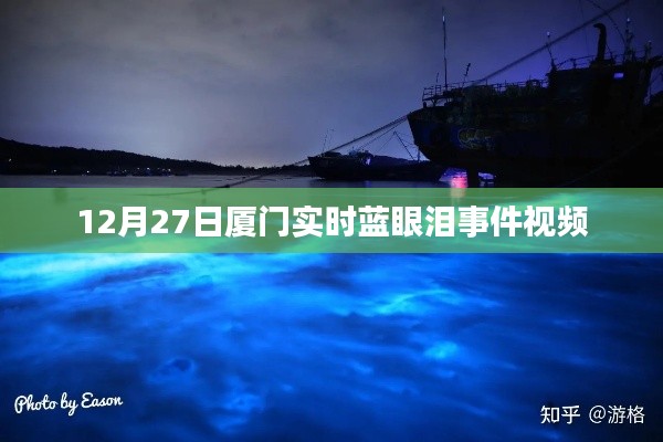 廈門藍眼淚事件實時視頻報道
