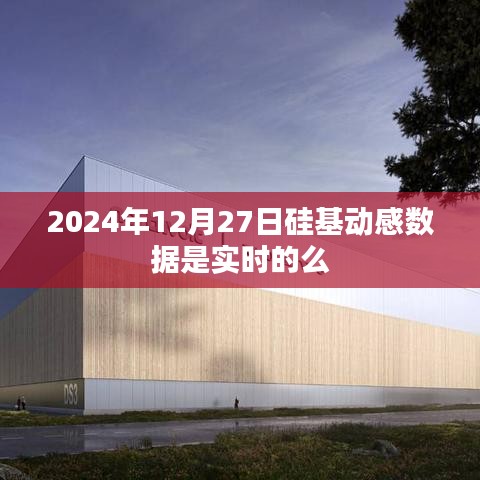 硅基動感數(shù)據(jù)實時性探討，2024年12月27日數(shù)據(jù)準(zhǔn)確性分析