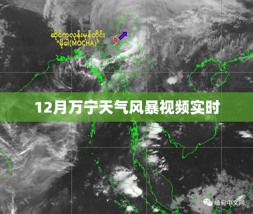 萬寧風(fēng)暴來襲，最新天氣實時視頻