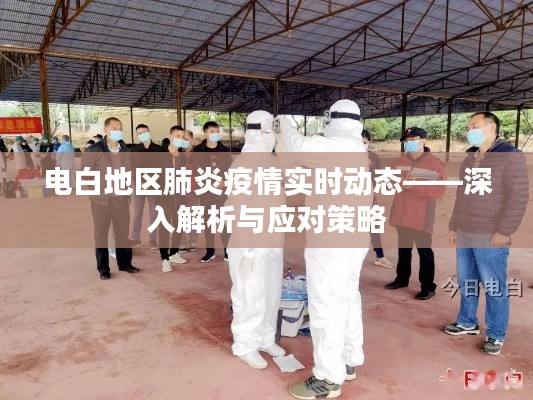電白地區(qū)肺炎疫情最新動態(tài)，解析與應(yīng)對策略