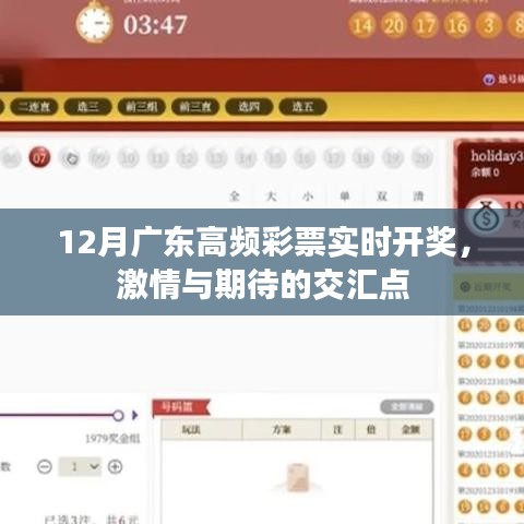 廣東高頻彩票12月實時開獎，激情碰撞期待時刻
