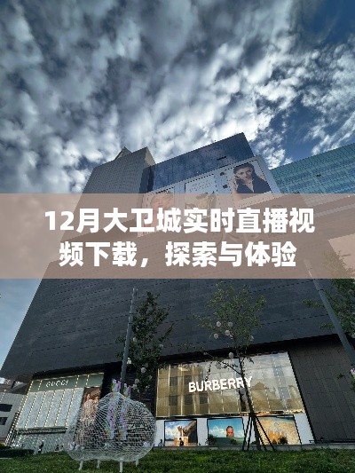大衛(wèi)城12月實(shí)時(shí)直播視頻下載，探索與體驗(yàn)之旅