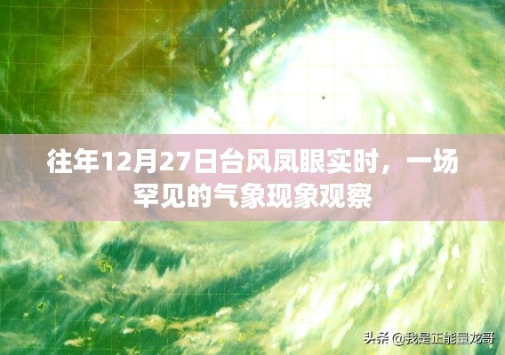 臺(tái)風(fēng)鳳眼現(xiàn)象觀(guān)察，罕見(jiàn)氣象奇觀(guān)揭秘