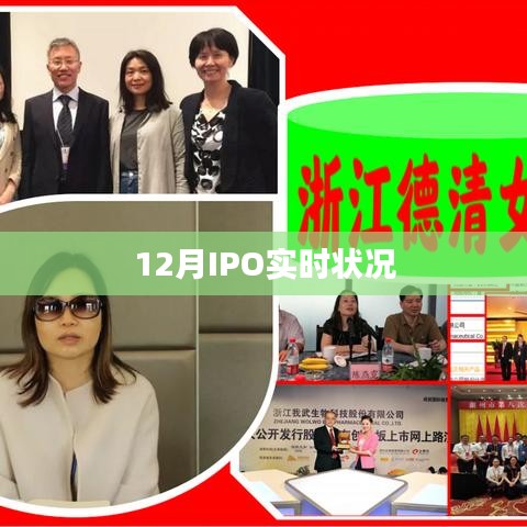 12月IPO最新動態(tài)及實(shí)時(shí)狀況分析
