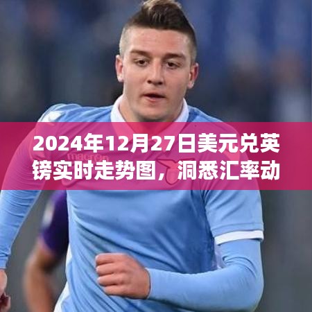 2024年美元兌英鎊匯率走勢圖，洞悉市場趨勢