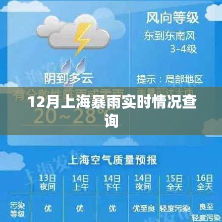 上海暴雨實(shí)時更新，最新天氣動態(tài)查詢