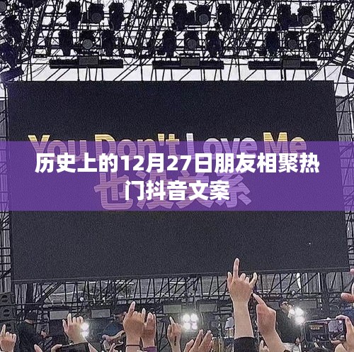 一花獨(dú)放 第3頁(yè)