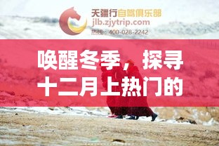 探尋十二月冬季上熱門秘密