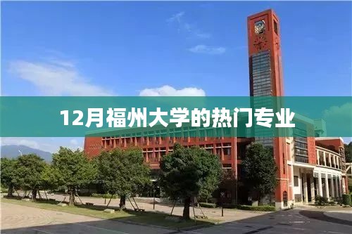 福州大學(xué)熱門(mén)專業(yè)榜單（12月版）
