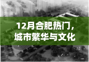 合肥12月熱門活動，城市交響與文化繁榮