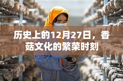 香菇文化繁榮時刻，歷史12月27日回顧