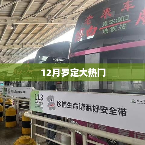 羅定熱點(diǎn)新聞，揭秘十二月大熱門事件