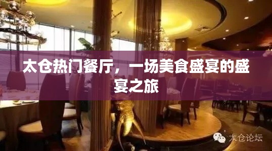 太倉美食盛宴，熱門餐廳探秘之旅