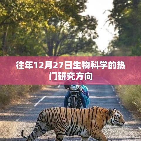 生物科學(xué)熱門(mén)研究方向揭秘，歷年12月27日焦點(diǎn)解析