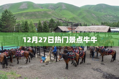 12月27日熱門景點探訪，牛牛之旅