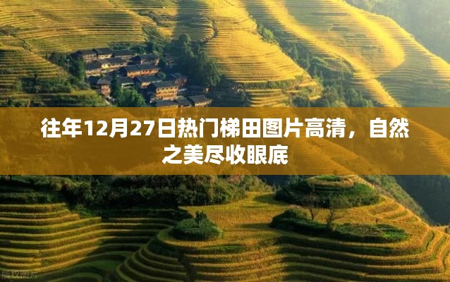 新聞動(dòng)態(tài) 第425頁(yè)