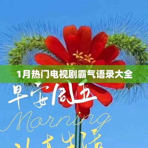 一月熱播劇霸氣臺詞盤點(diǎn)