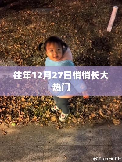 年終倒數(shù)時刻，揭秘十二月二十七日的熱門秘密