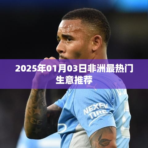 非洲熱門(mén)生意推薦，2025年1月新商機(jī)解讀