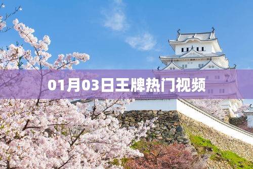 王牌熱門視頻盤點(diǎn)，最新熱門視頻精選