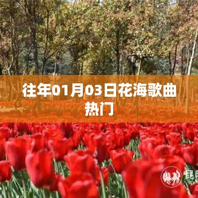 『花海歌曲熱爆，歷年一月初最受歡迎的旋律』