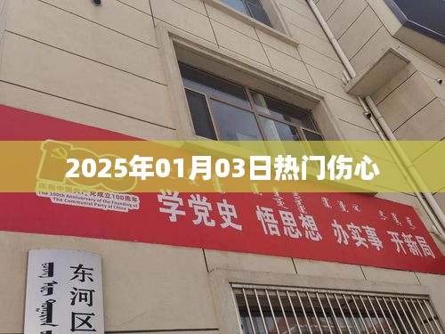 『2025年1月3日，那些令人心碎的瞬間』