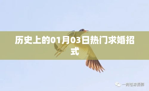 歷史上的求婚秘籍，一月三日求婚攻略