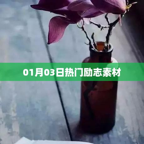 勵(lì)志素材精選，新年新氣象