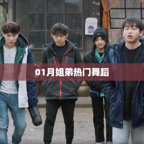 熱門舞蹈，一月姐弟熱舞盤點
