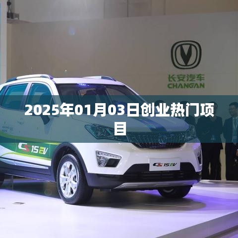 2025年創(chuàng)業(yè)熱門項目揭秘，把握未來商機(jī)
