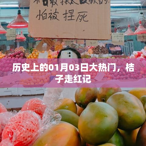 歷史大熱門，桔子走紅記，揭秘背后的故事