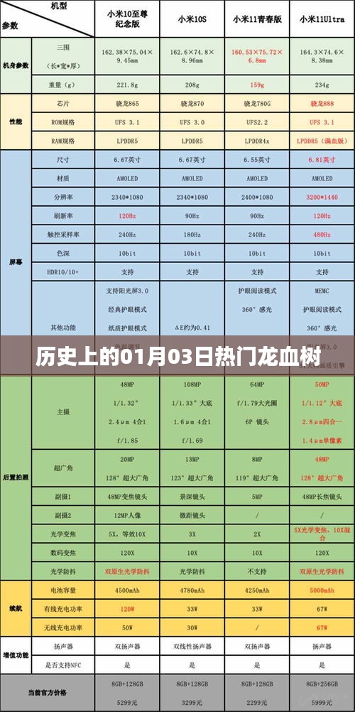 龍血樹的歷史變遷，一月三日的重要時刻回顧