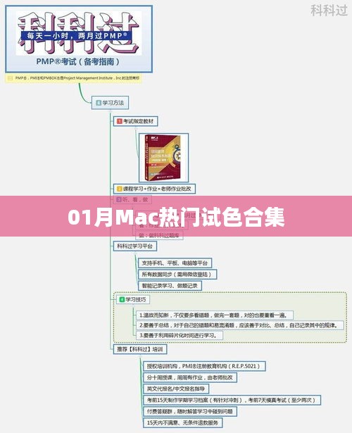 「獨(dú)家盤點(diǎn)」Mac熱門試色合集，一月精選不容錯(cuò)過