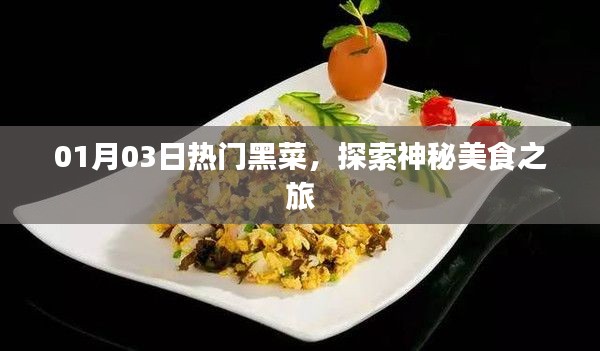 熱門黑菜探索，神秘美食之旅（日期標注）