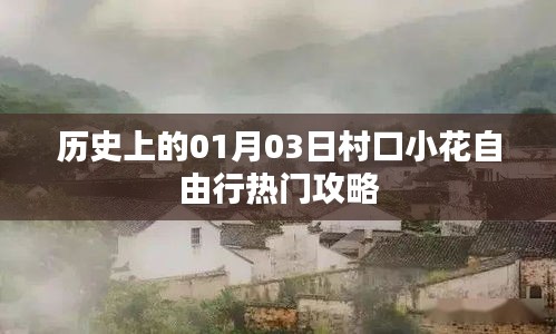 村口小花自由行，一月三日熱門攻略回顧