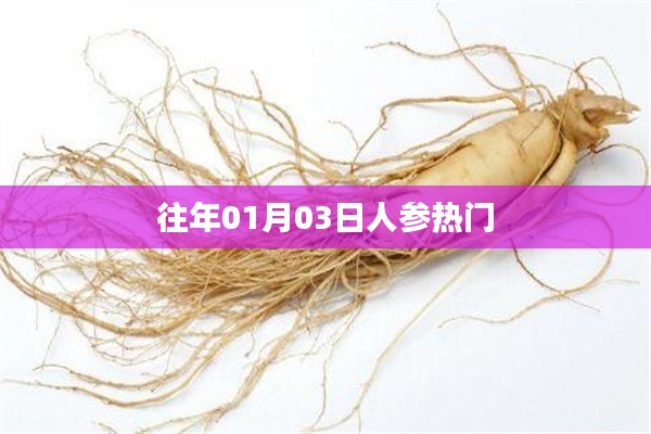 人參熱門事件回顧，歷年一月初三矚目時刻