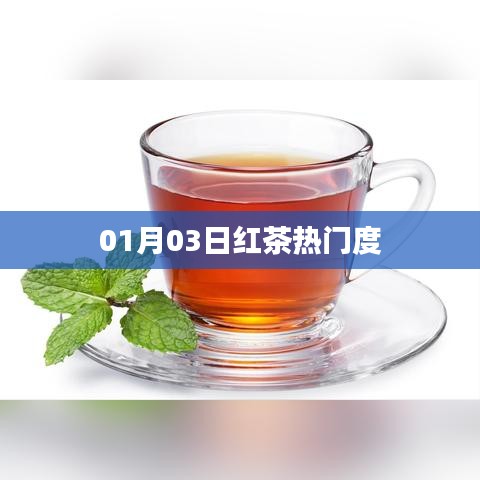 紅茶熱門度揭秘，最新趨勢分析（日期，01月03日）