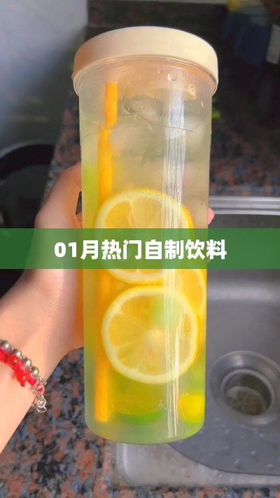 精選自制飲料，一月熱門推薦
