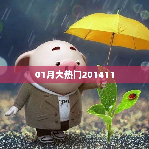 大熱門事件回顧，揭秘2014年1月熱點話題