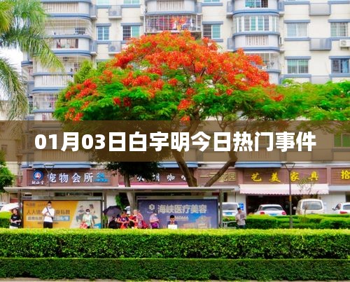 白宇明最新熱門事件曝光，關(guān)注細(xì)節(jié)解析