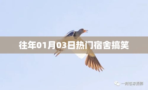 宿舍歡樂瞬間，歷年一月三日爆笑回顧