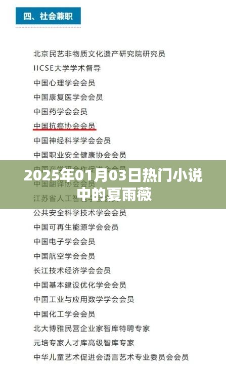 夏雨薇，2025年超人氣小說主角，魅力非凡