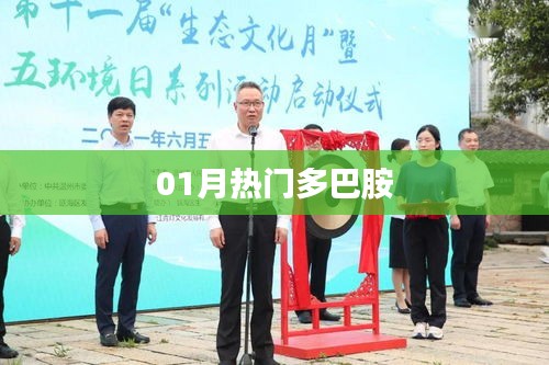 熱門多巴胺，揭秘一月新動向