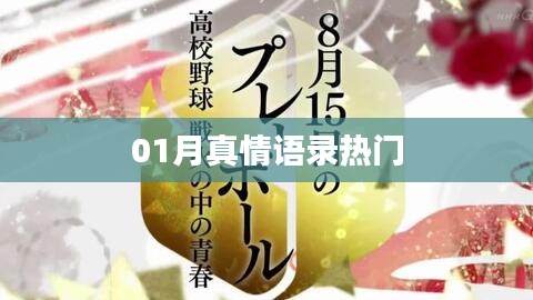 精選真情語(yǔ)錄，一月溫暖話語(yǔ)