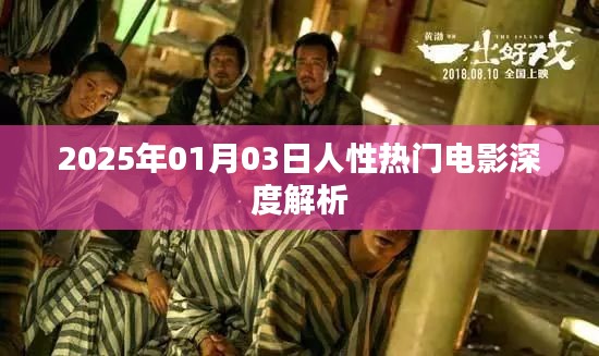 人性探索，深度解析一部熱門電影