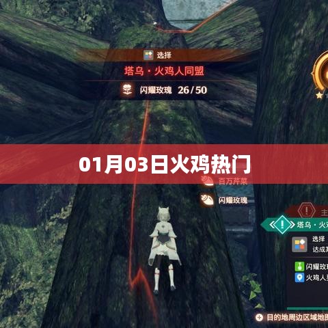 火雞熱門風潮，揭秘背后的故事